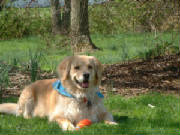 sandi03a.jpg